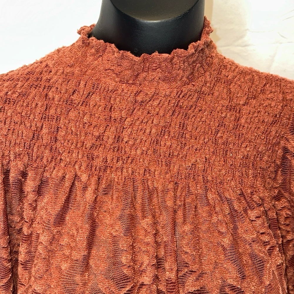 Anthropologie Deletta Amana Burnout Lace Top Size S Smocked Sheer Mockneck N18 - Picture 4 of 6